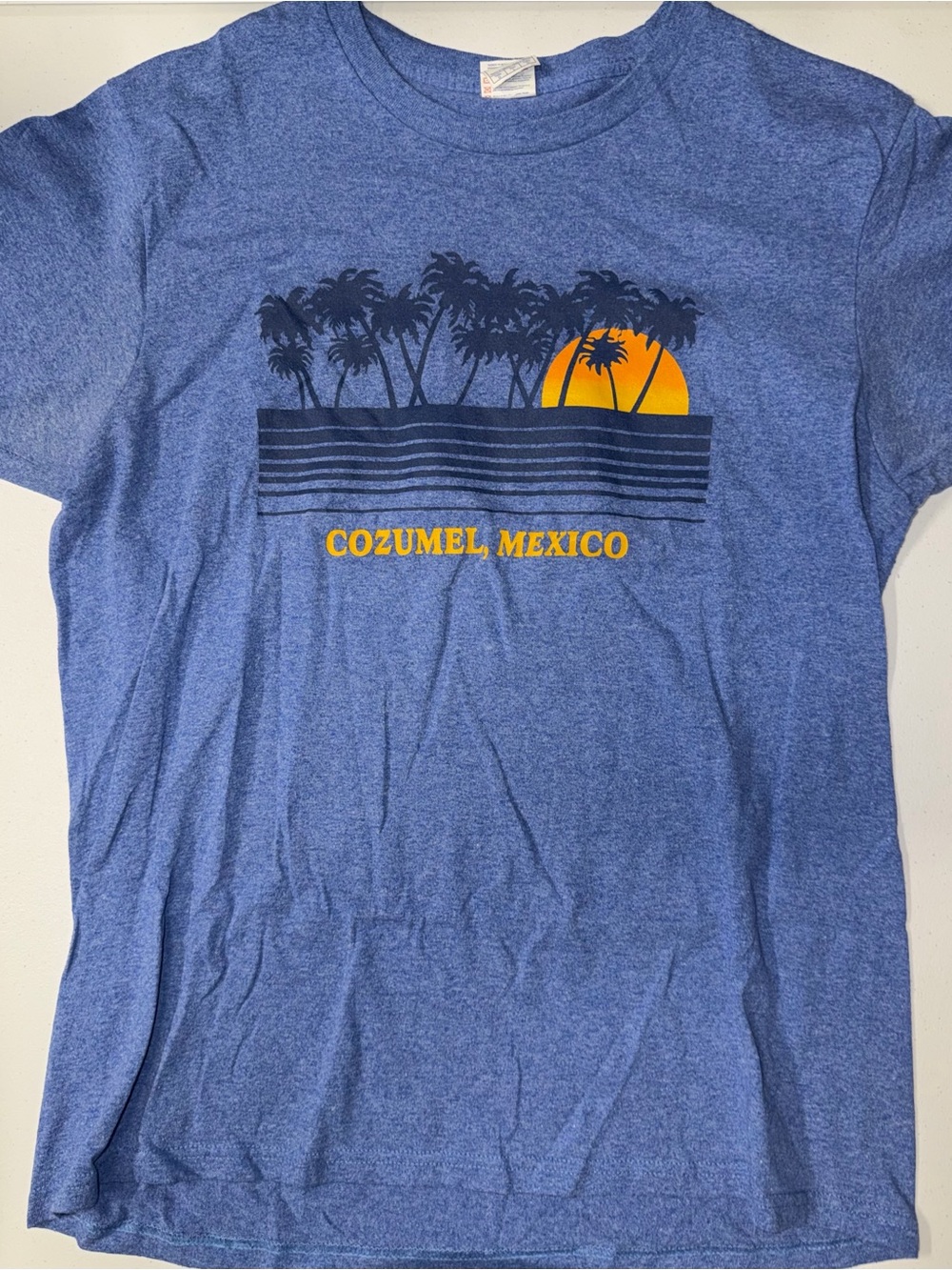 Cozumel Mexico Blue Palm Trees Adult Shirt (Large)
